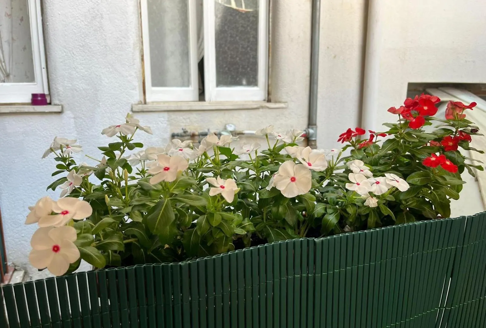 Casa Dei Nonni Di Yuri Bed & Breakfast Palermo 0*,  Italy